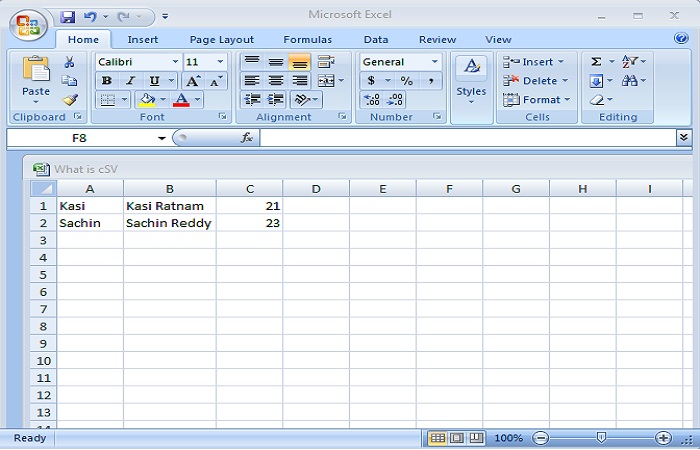 CSV File in Spread Sheet