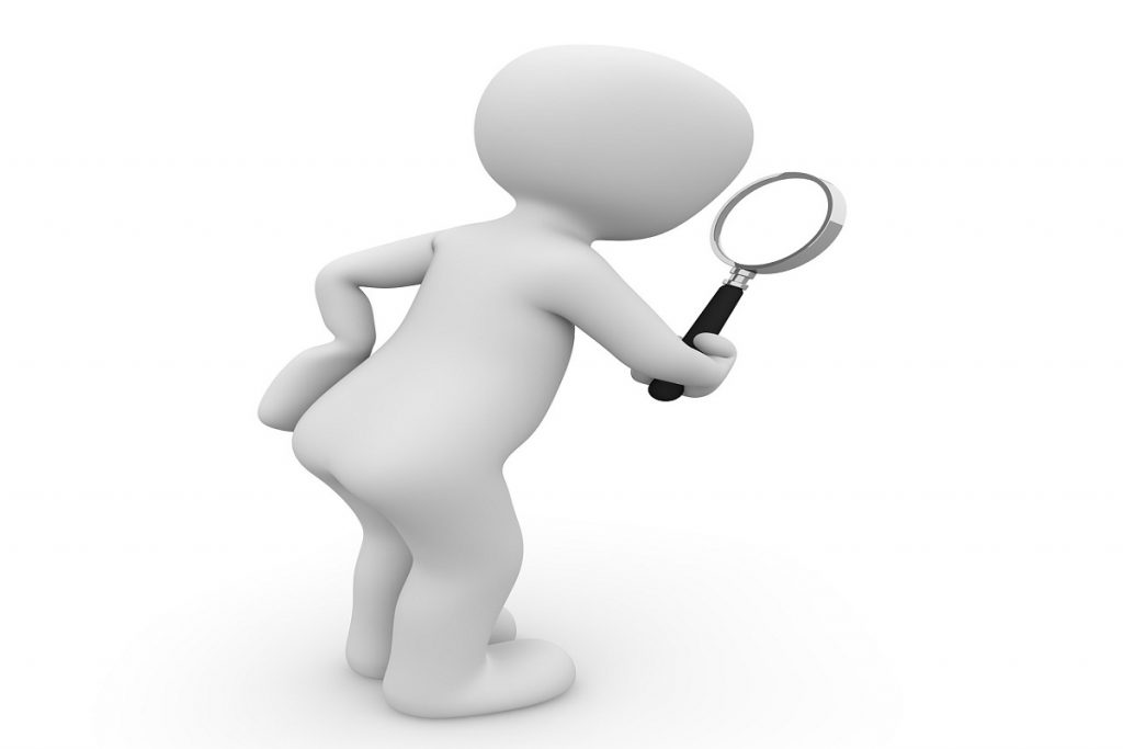 Using Niche Search Engines to Find What You are Looking For
