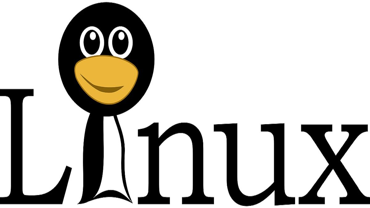 What is Linux? Definition, Uses, Installation Process and More