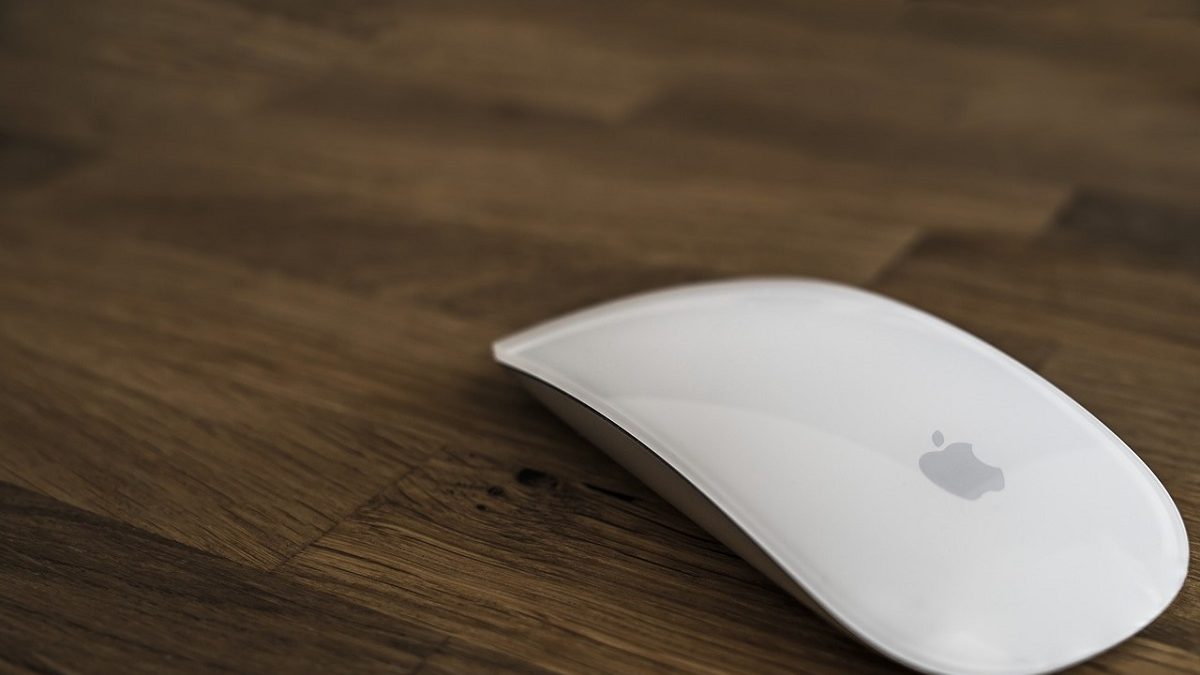 What is a Mechanical-Mouse? – Definition, Characteristics, and More