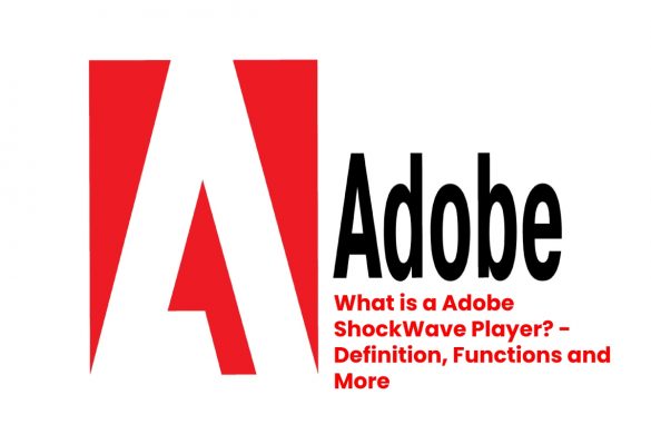 image result for What is a Adobe ShockWave Player - Definition, Functions and More