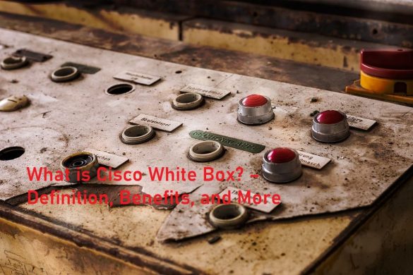 What is Cisco White Box? – Definition, Benefits, and More