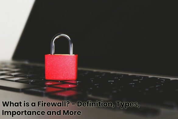 image result for What is a Firewall - Definition, Types, Importance and More