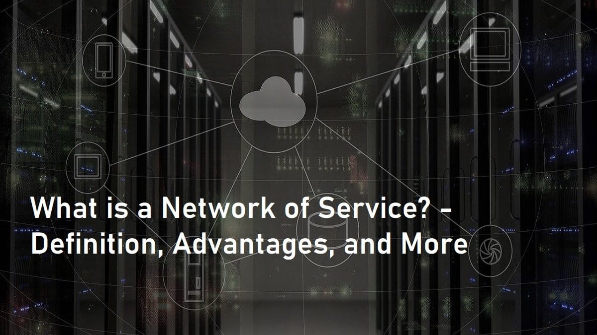 What is a Network of Service? – Definition, Advantages, and More