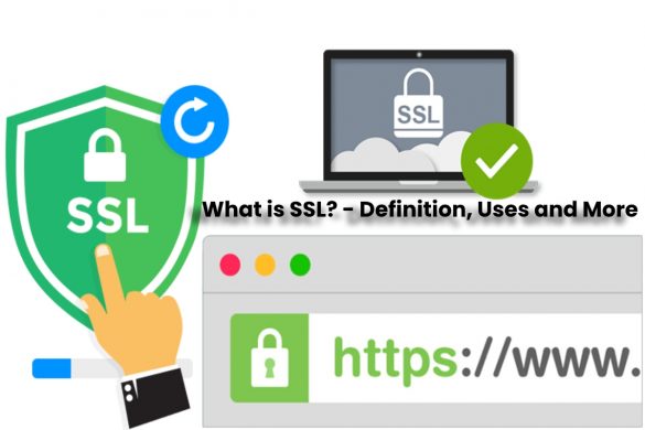 image result for What is SSL (Secure Socket Layer) - Definition, Uses and More