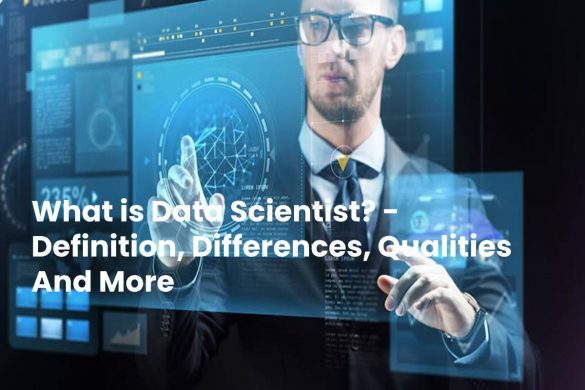 What is Data Scientist? - Definition, Differences, Qualities And More