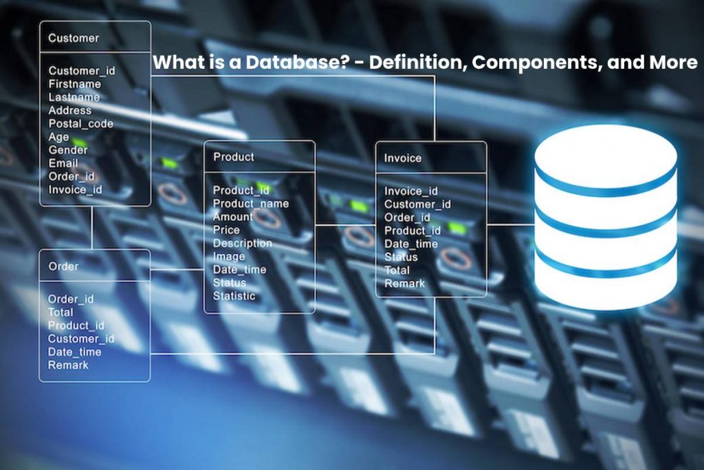 What is a Database? - Definition, Components, and More