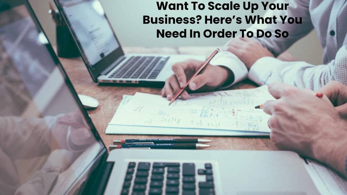 Want To Scale Up Your Business? Here’s What You Need In Order To Do So