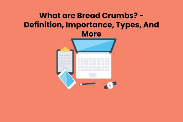 What are Bread Crumbs? - Definition, Importance, Types, And More
