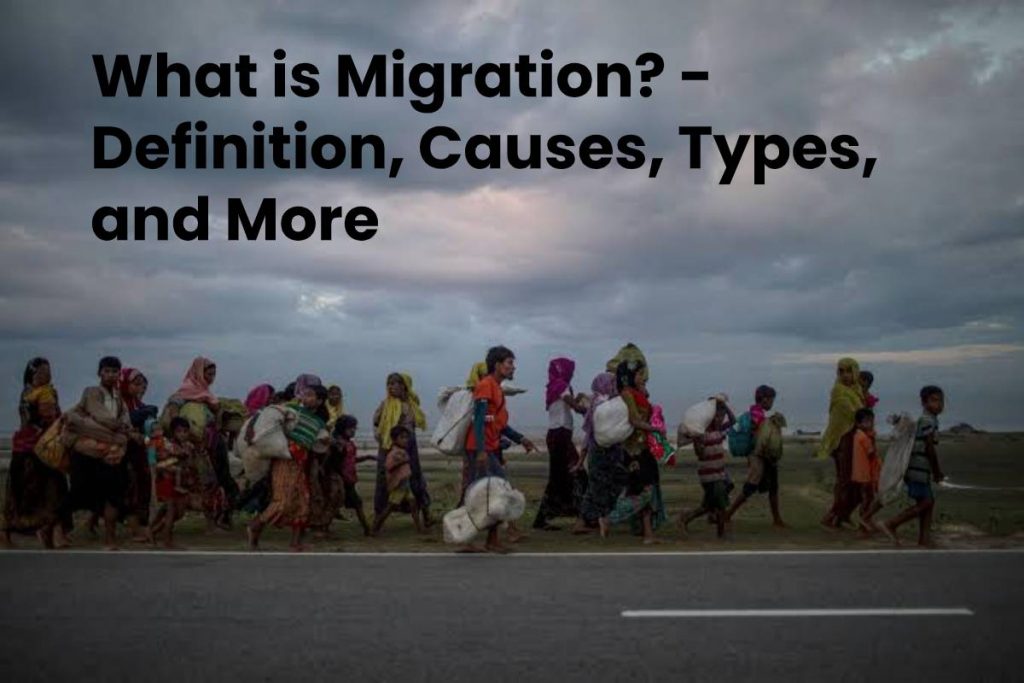What is Migration? - Definition, Causes, Types, and More