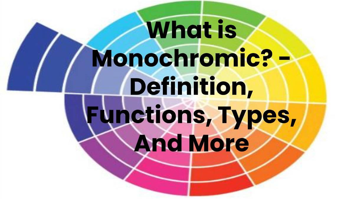 What is Monochromic? – Definition, Types, And More (2023)