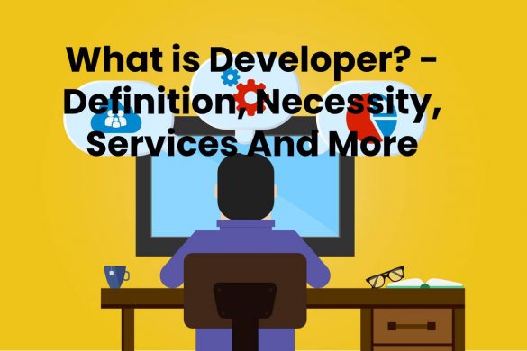 What is Developer? - Definition, Necessity, Services And More