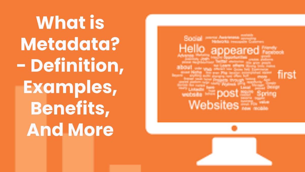 What is Metadata? – Definition, Examples And More (2025)