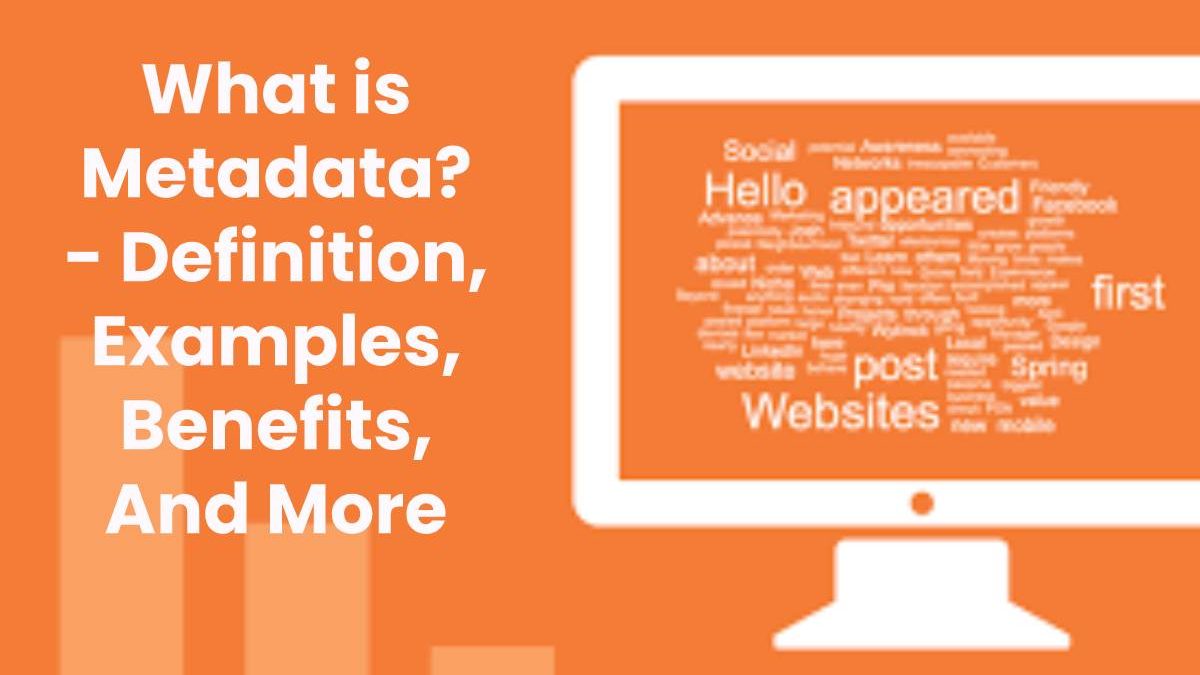 What is Metadata? – Definition, Examples And More (2023)