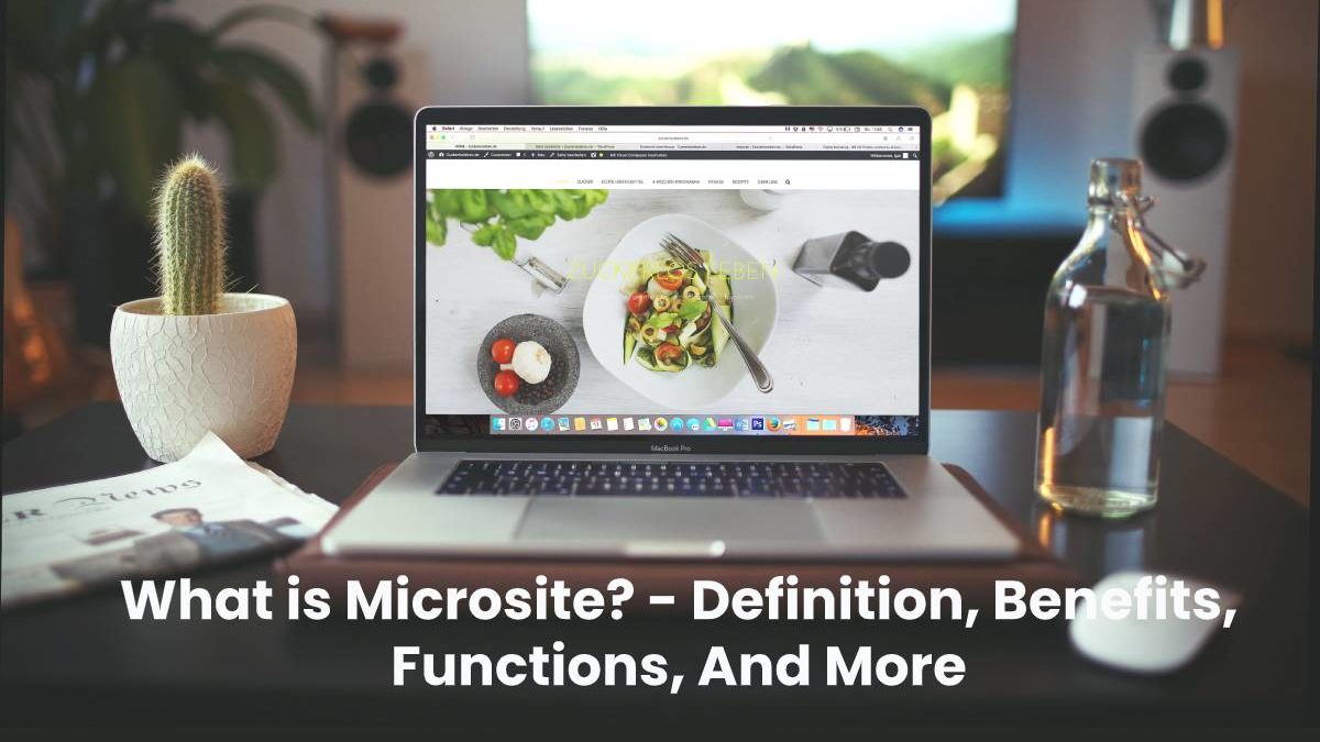 What is Microsite? – Definition, Benefits, Functions, And More