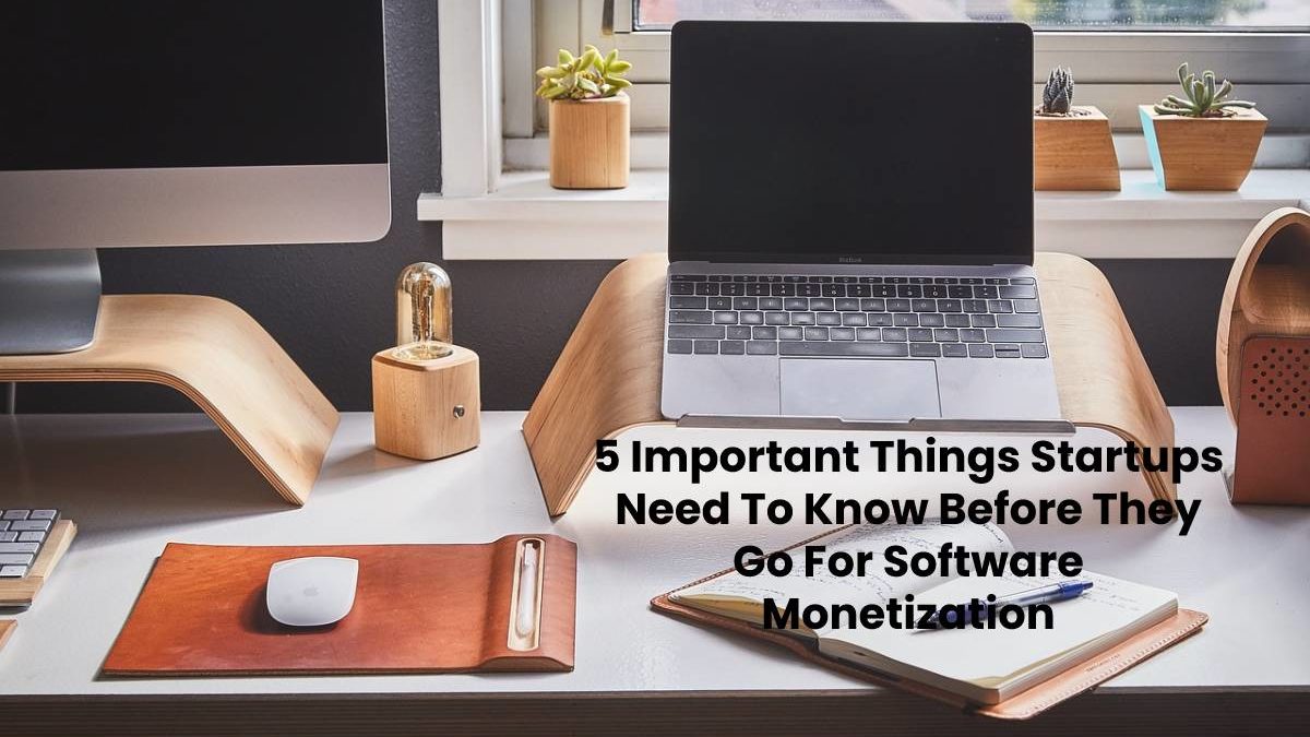 5 Important Things Startups Need To Know Before They Go For Software Monetization