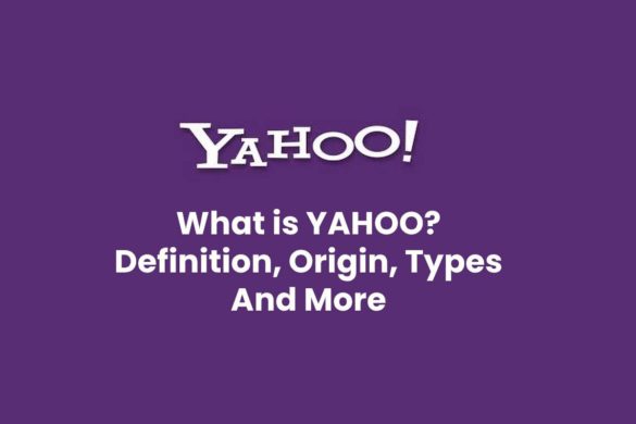 What is YAHOO? - Definition, Origin, Types And More