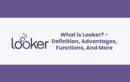 What is Looker? - Definition, Advantages, Functions, And More