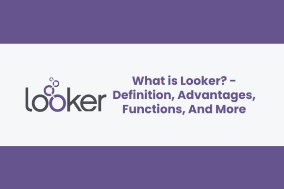 What is Looker? - Definition, Advantages, Functions, And More