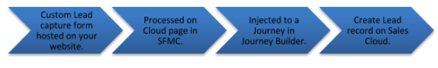 Custom Lead capture Form