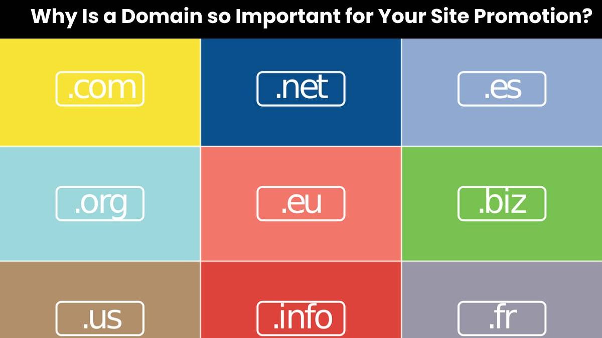 Why Is a Domain so Important for Your Site Promotion?
