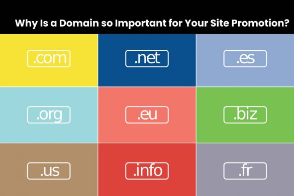 Why Is a Domain so Important for Your Site Promotion