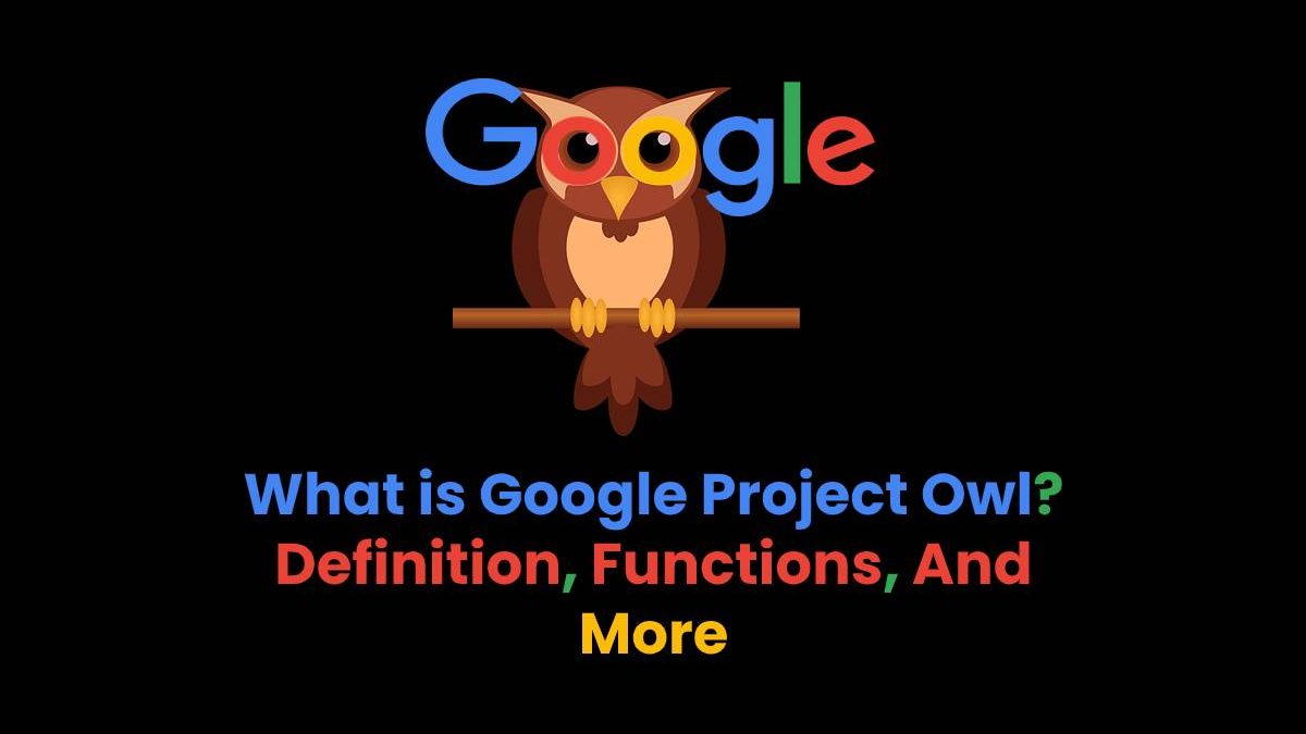 What is Google Project Owl? – Definition, Functions, And More (2025)