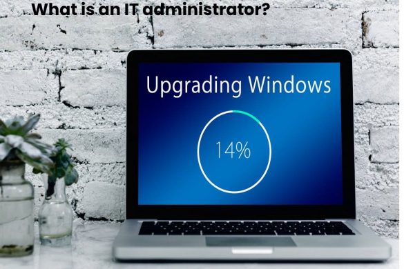 What is an IT administrator