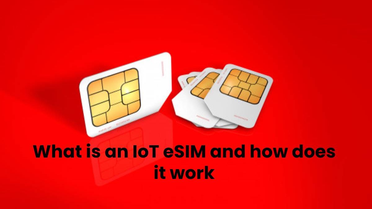 What is an IoT eSIM and how does it work?