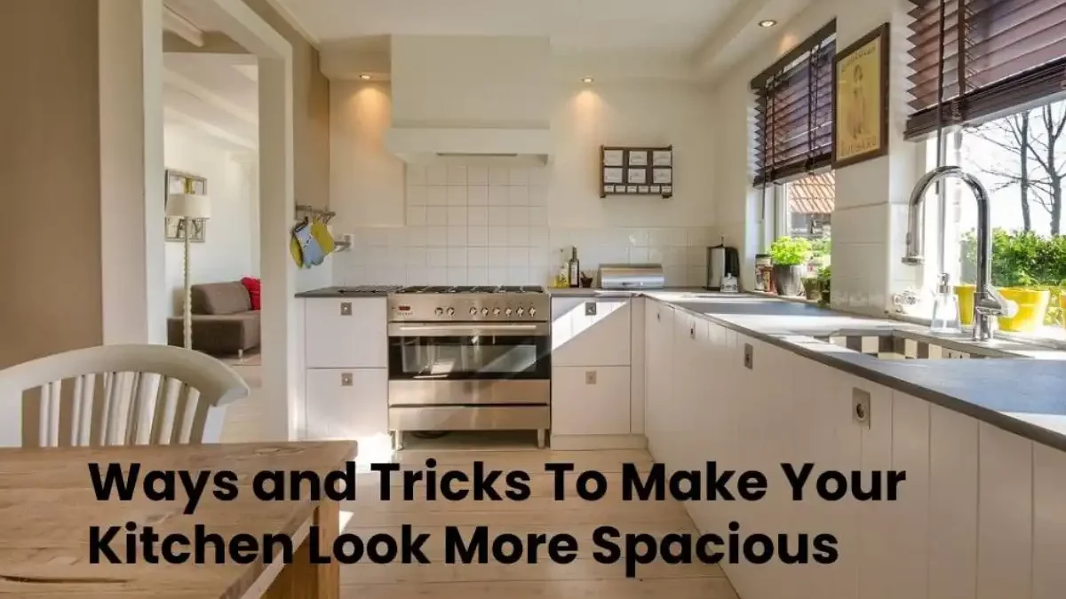 Tip & Tricks To Make Your Kitchen Look More Spacious [2024]