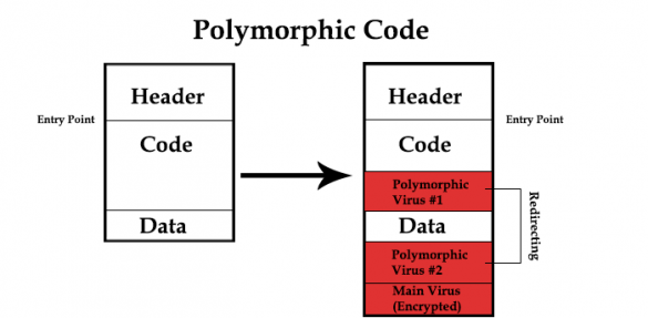 Polymorphic-Code