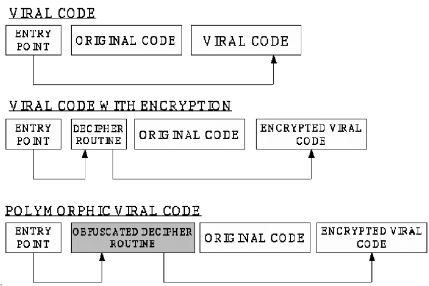 polymorphic-code