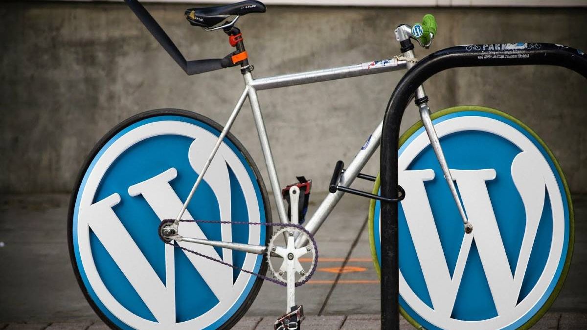 Why WordPress dominates the web