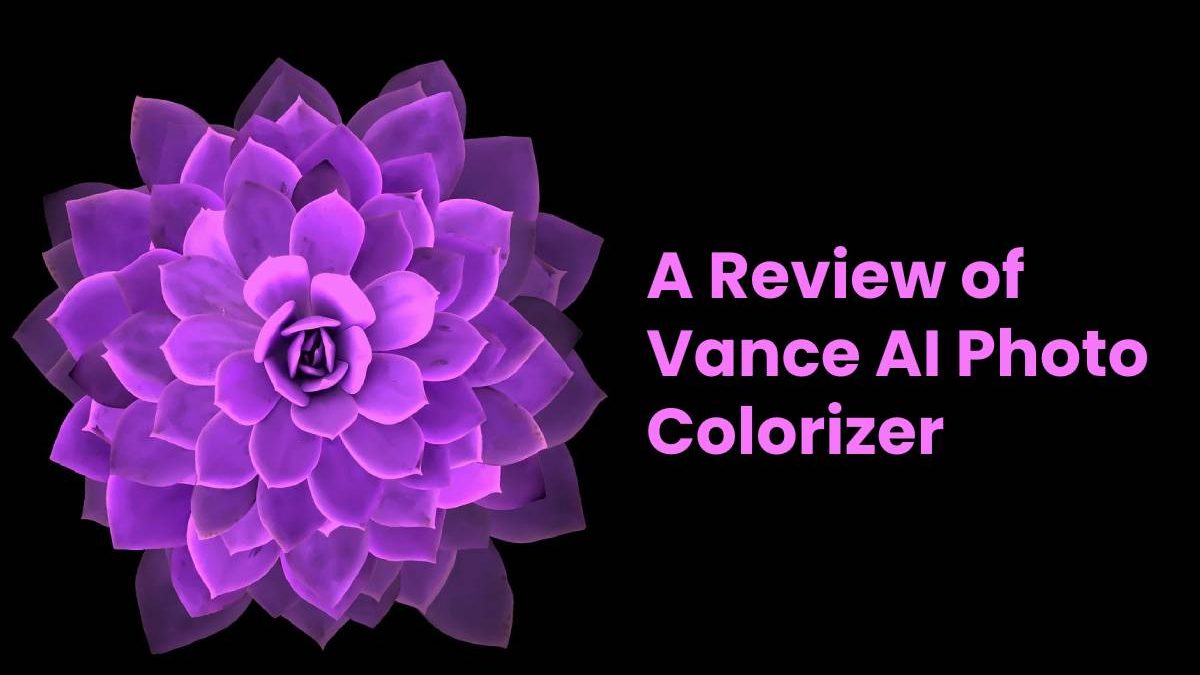 A Review of Vance AI Photo Colorizer