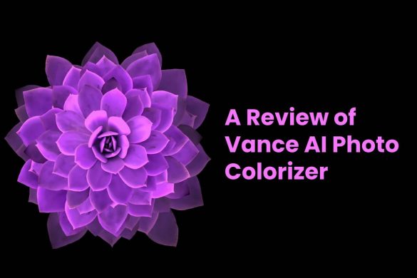 A Review of Vance AI Photo Colorizer