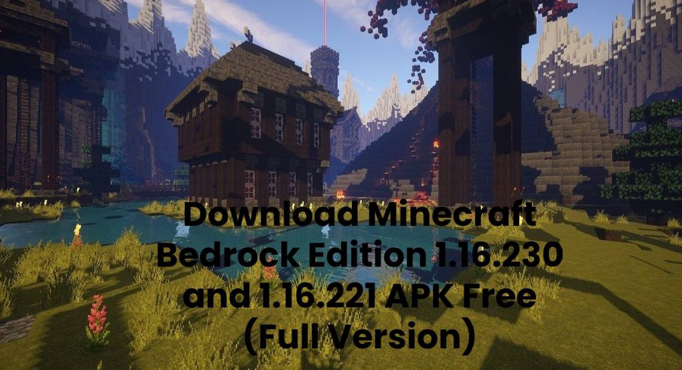 Minecraft pe 1.16.221 apk download