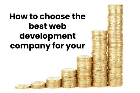 How to choose the best web development company for your business growth?
