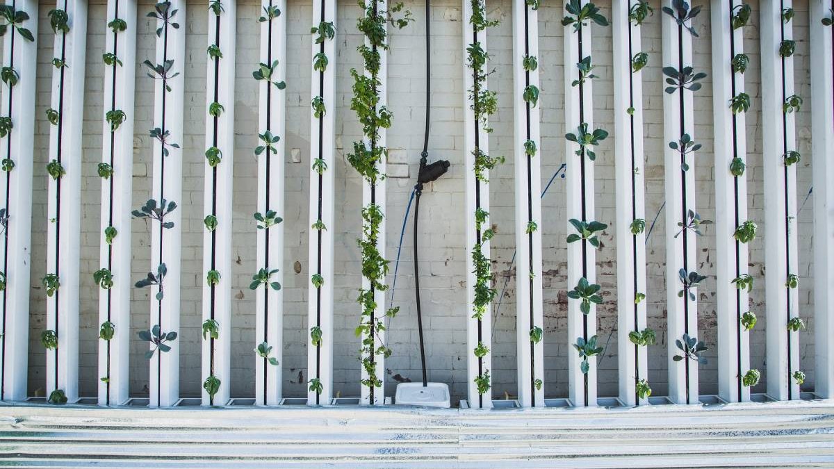 Which Lighting Tech Best Suites Vertical Farming?