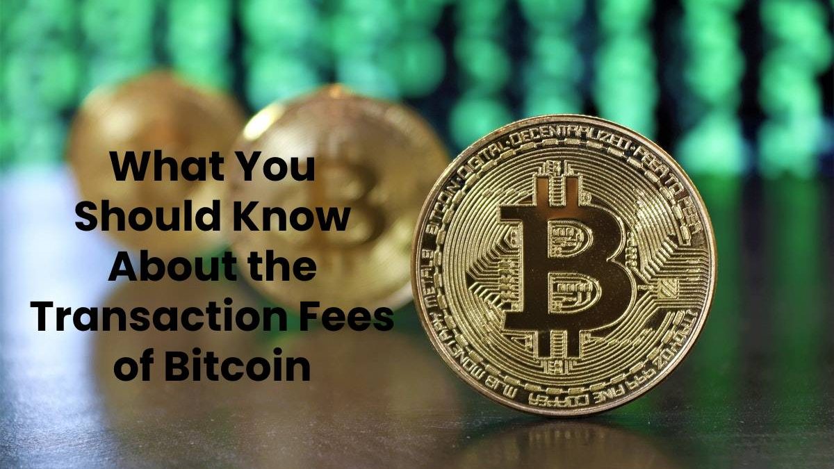 What You Should Know About the Transaction Fees of Bitcoin