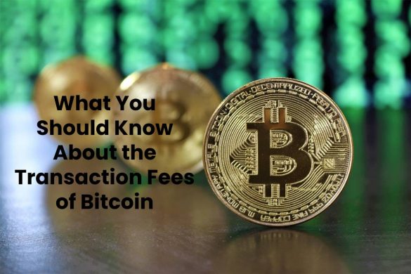 What You Should Know About the Transaction Fees of Bitcoin