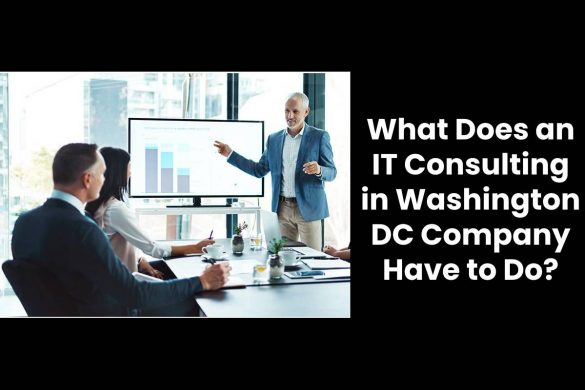 What Does an IT Consulting in Washington DC Company Have to Do?
