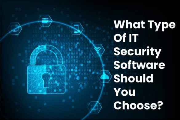What Type Of IT Security Software Should You Choose?