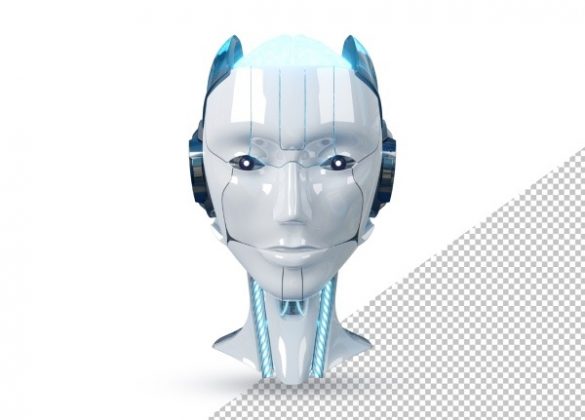 Beginner’s Guide to Chatbots