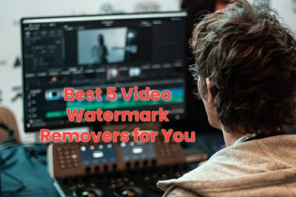 Best 5 Video Watermark Removers for You