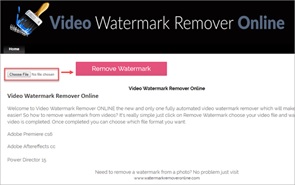 Video Watermark Remover Online 