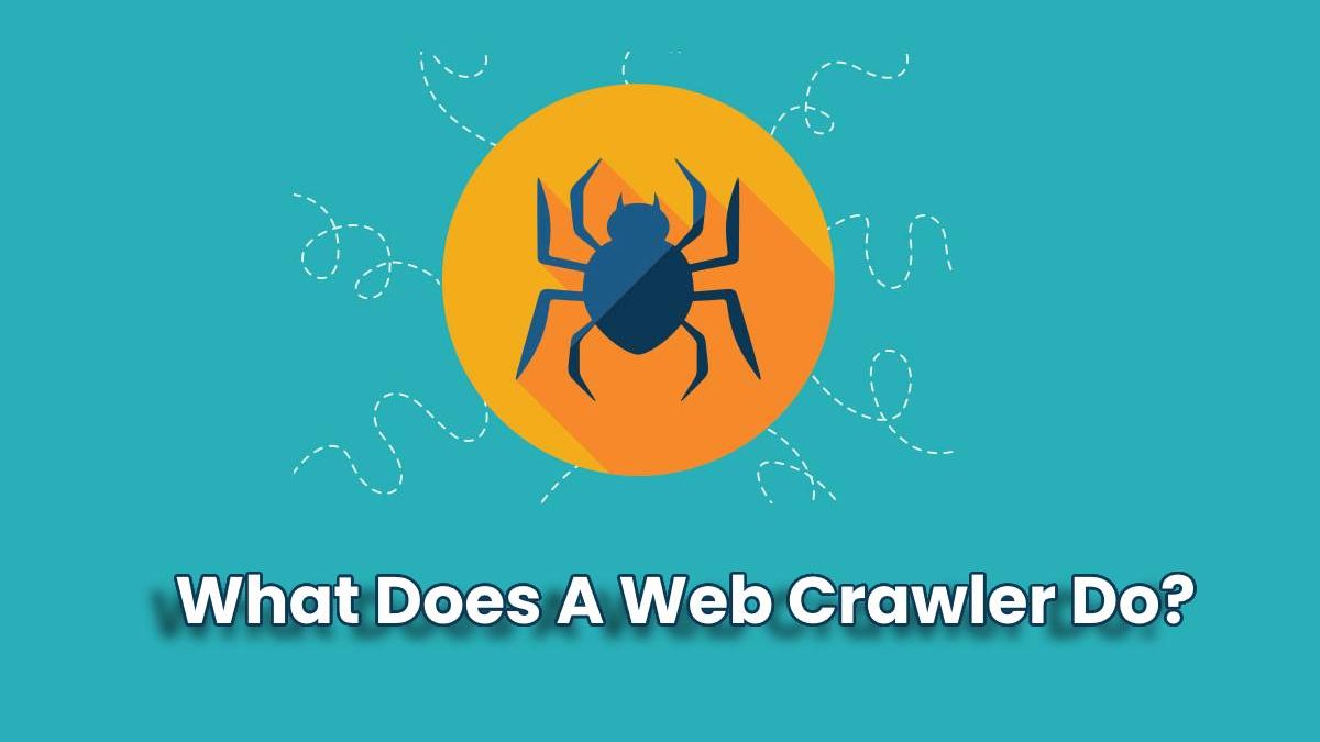 What Does A Web Crawler Do?
