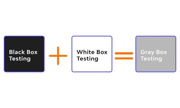 Everything You Need to Know About Gray Box Penetration Testing