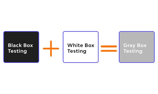Everything You Need to Know About Gray Box Penetration Testing