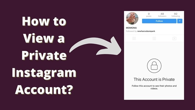 How to View a Private Instagram Account? 