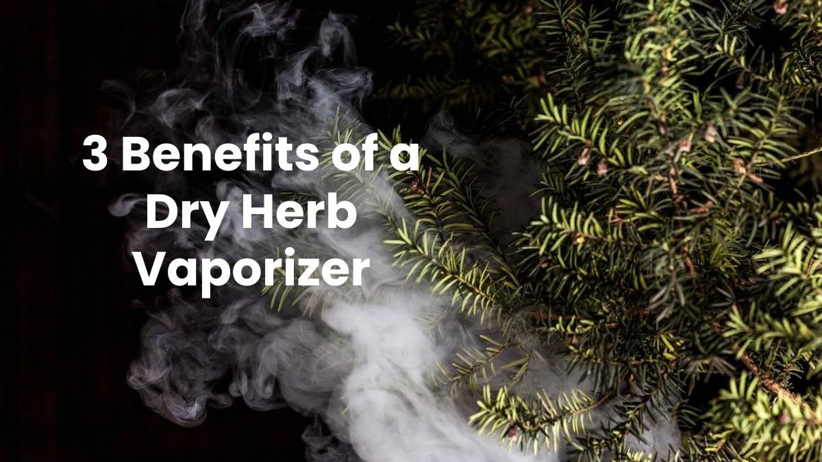 3 Benefits of a Dry Herb Vaporizer